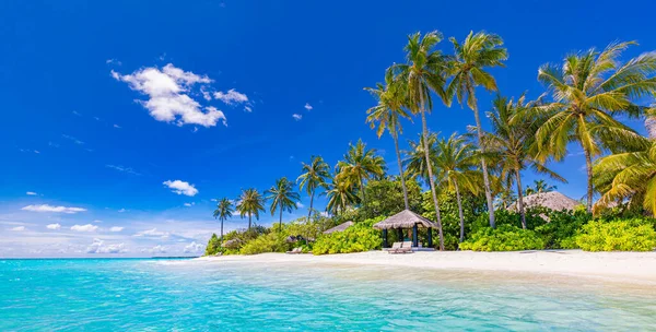 Красивый Тропический Пляж Пальмами — стоковое фото