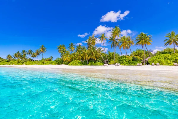 美丽的热带海滩 有棕榈树作假日度假之用 — 图库照片