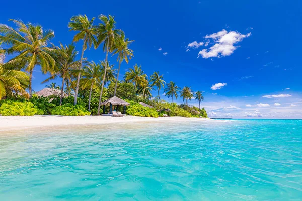 Bela Praia Tropical Com Palmeiras — Fotografia de Stock