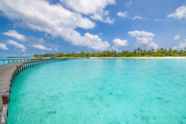 Kristal berrak turkuaz okyanus suyunun üzerinden tropik bir adaya doğru uzanan uzun ahşap iskele..