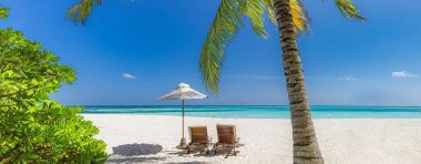 Palmiye ağaçları, şezlonglar ve turkuaz okyanus suyuyla mükemmel beyaz kumsal sahnesi..