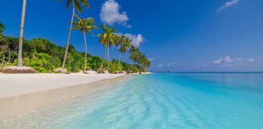 Kristal berrak turkuaz su, beyaz kum ve palmiye ağaçları olan mükemmel tropik plaj. .
