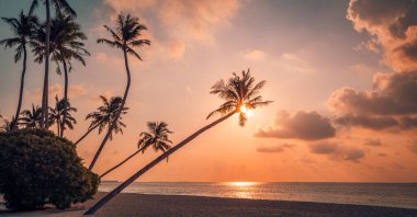 Okyanusun üzerinde altın tropikal günbatımı, kumlu bir plaj boyunca uzanan palmiyeler. .