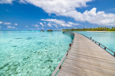 Kristal berrak turkuaz okyanus suyunun üzerinden tropik bir adaya doğru uzanan uzun ahşap iskele..