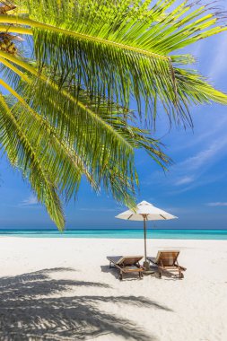 İki ahşap şezlong ve şemsiyenin el değmemiş tropik bir plajda dikey görüntüsü..