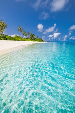 Kristal berrak su, beyaz kum ve palmiye ağaçları olan tropik plaj .