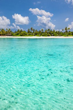 Turkuaz su, palmiye ağaçlarıyla dolu beyaz bir kumsalda yıkanır..