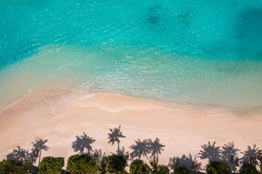 El değmemiş beyaz kumsal manzarası, turkuaz su ve palmiye ağacı gölgeleri..