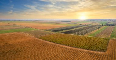 Günbatımında ufka uzanan çeşitli tarımsal alanlar ve bahçelerin havadan görünüşü.
