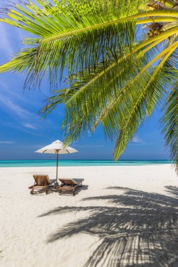 İki ahşap şezlong ve şemsiyenin el değmemiş tropik bir plajda dikey görüntüsü..