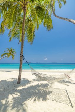 Boş bir hamak, terk edilmiş beyaz bir kumsaldaki palmiye ağacına bağlanmış..