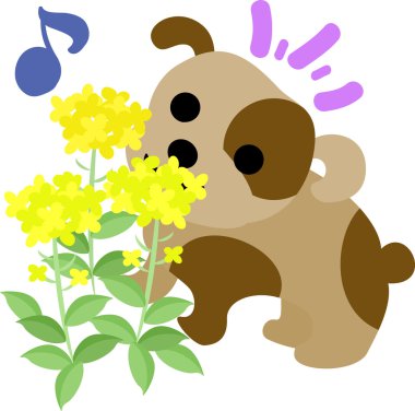 Sevimli köpek resmi