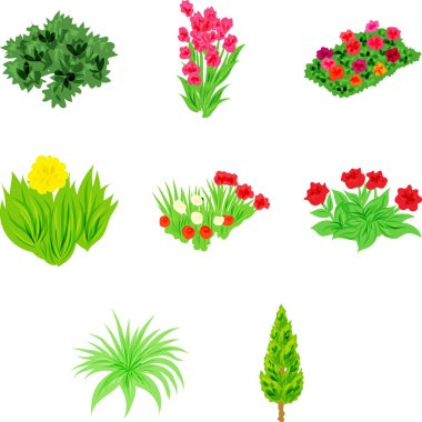 Renkli bitkiler ve çiçeklerle dolu rahatlatıcı bir illüstrasyon seti. 