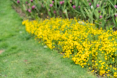 soyut doğa bulanıklık