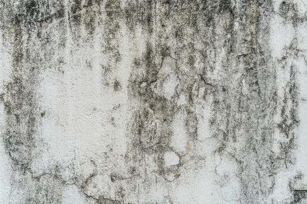 Stary mur beton — Zdjęcie stockowe