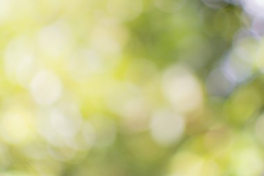 bokeh arka plan