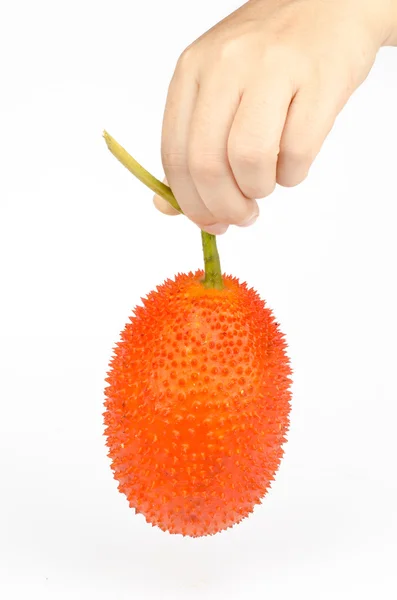 Gac Fruta — Foto de Stock