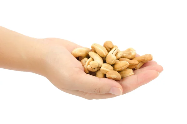 Cashew nuts — Stock Photo, Image