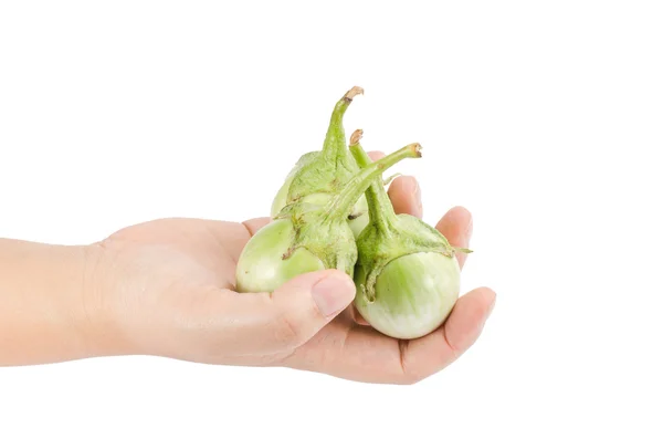 Green eggplant — Stock Photo, Image