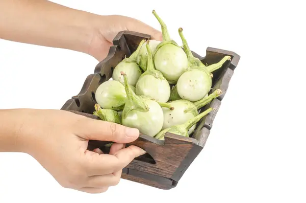 Green eggplant — Stock Photo, Image