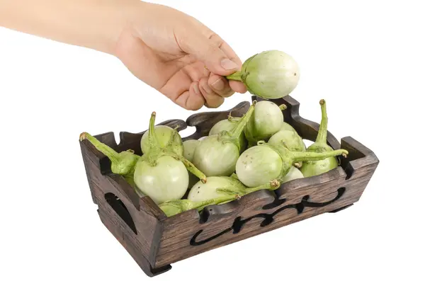 Green eggplant — Stock Photo, Image