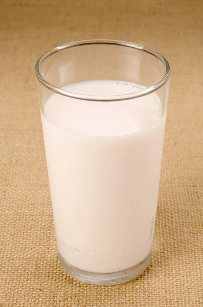 Süt — Stok fotoğraf