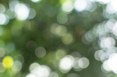 bokeh arka plan