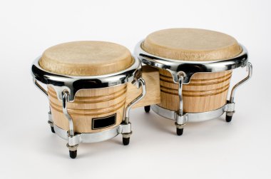 Bongo