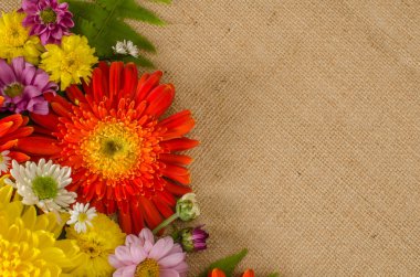 Tam renkli çiçekler