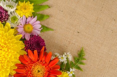 Tam renkli çiçekler