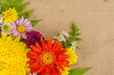 Tam renkli çiçekler