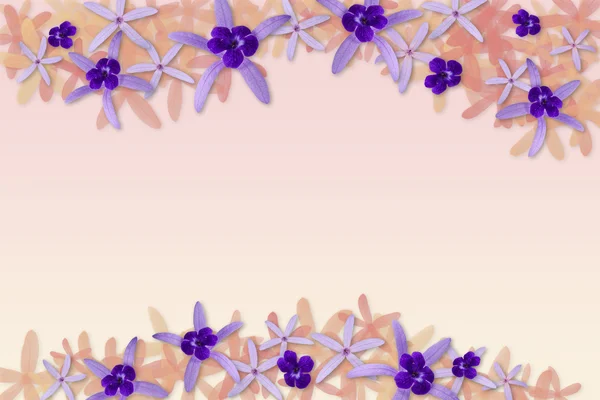 보라색 꽃들의 배경 — 스톡 사진