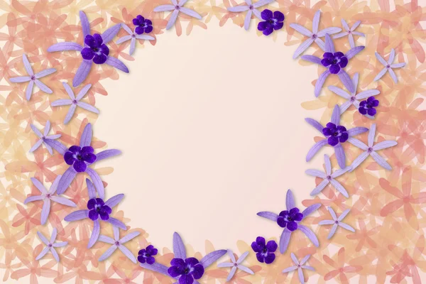 Viola fiori sfondo — Foto Stock