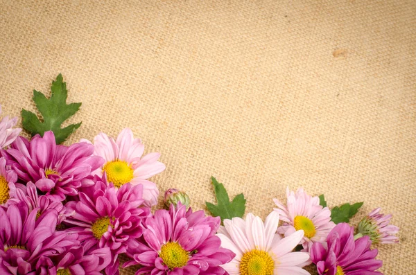 Fundo de flores — Fotografia de Stock