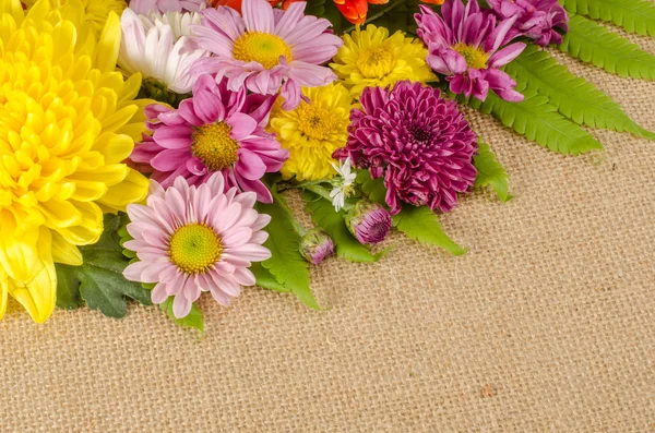 Flores coloridas — Fotografia de Stock