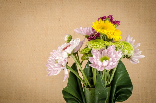 꽃 배경 — 스톡 사진