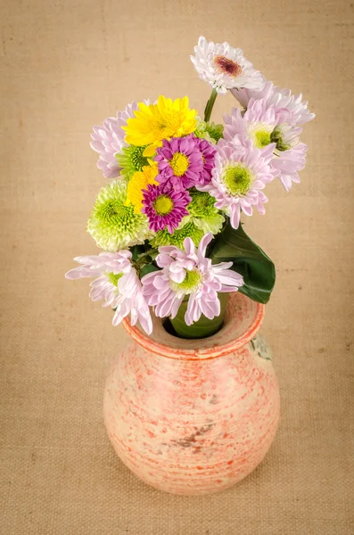 Fundo de flores — Fotografia de Stock