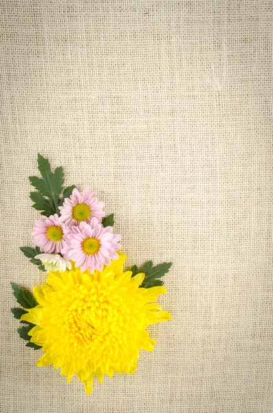 Fundo de flores — Fotografia de Stock