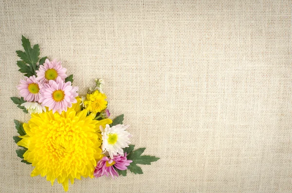 Fundo de flores — Fotografia de Stock