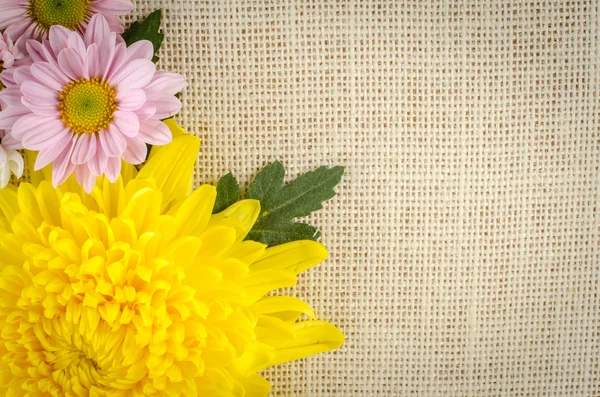 Fundo de flores — Fotografia de Stock