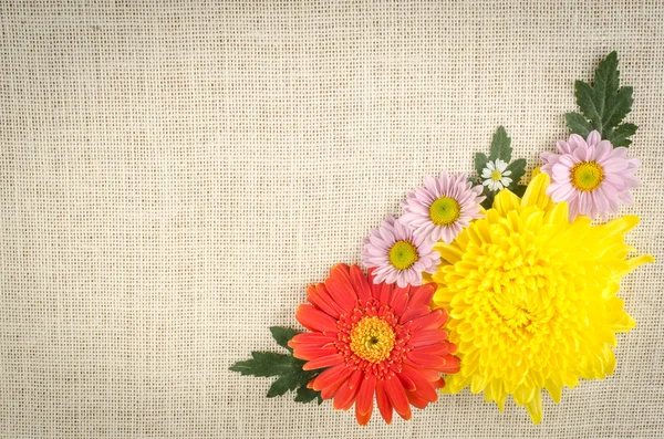 Fondo de flores — Foto de Stock