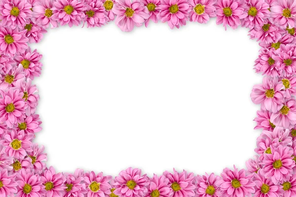 Pink flowers background — Stock Photo, Image