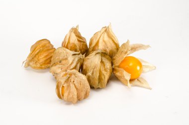 Cape bektaşi üzümü