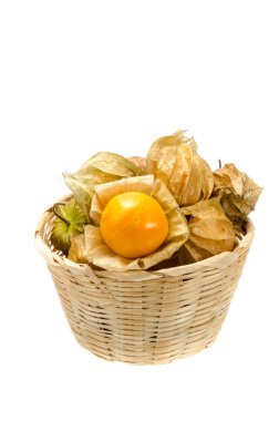 Cape bektaşi üzümü