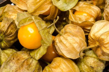 Cape bektaşi üzümü