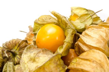 Cape bektaşi üzümü