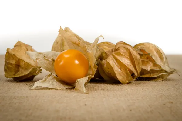 Cape gooseberry — Stock Photo, Image