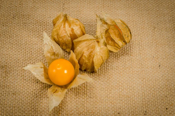 Cape gooseberry — Stock Photo, Image