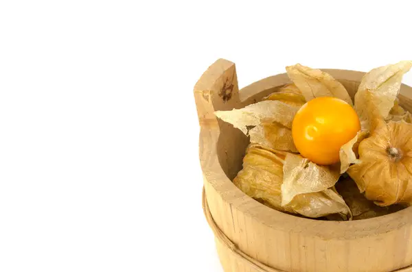 Cape gooseberry — Stock Photo, Image