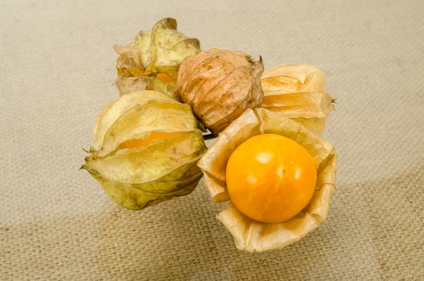 Cape gooseberry — Stock Photo, Image